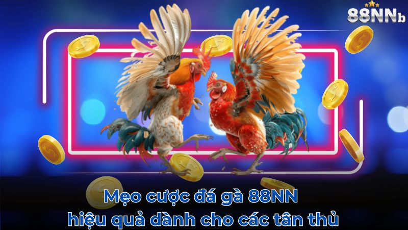 Mẹo cược đá gà 88NN hiệu quả dành cho các tân thủ