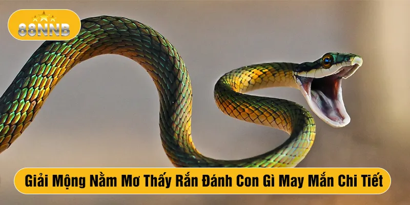 Giải Mộng Nằm Mơ Thấy Rắn Đánh Con Gì May Mắn Chi Tiết