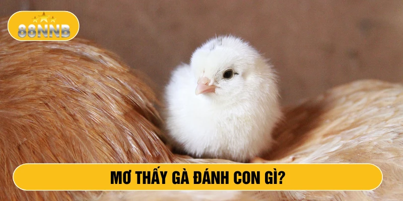 Mơ thấy gà đánh con gì?
