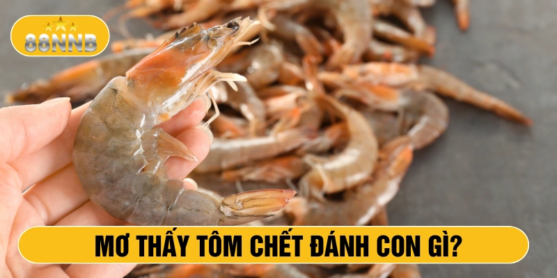 Mơ thấy tôm chết đánh con gì?