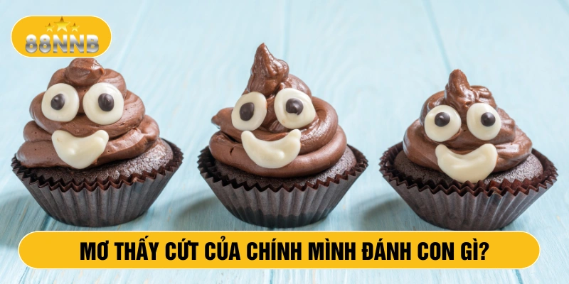 mơ thấy cứt của chính mình đánh con gì?